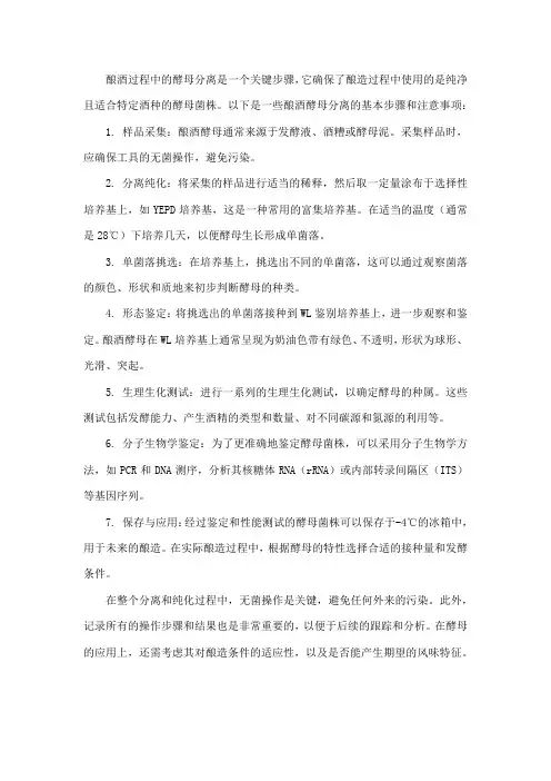 酿酒 分离