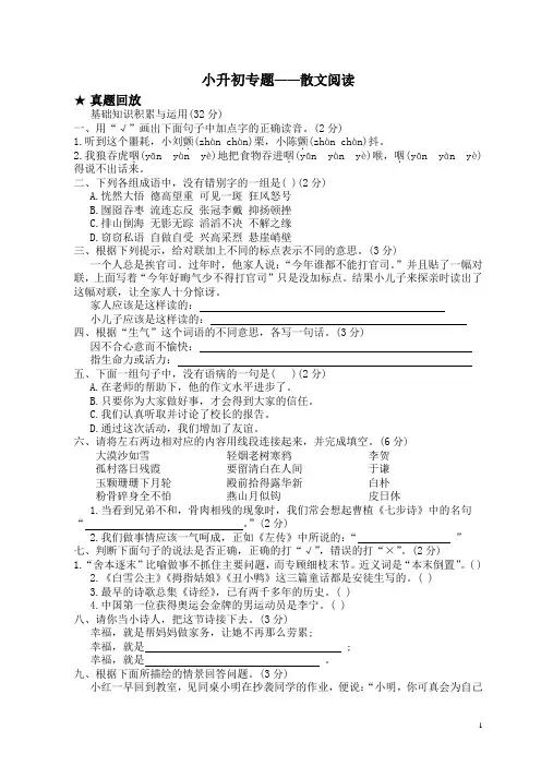 小升初专题——散文阅读(试题)部编版语文六年级下册