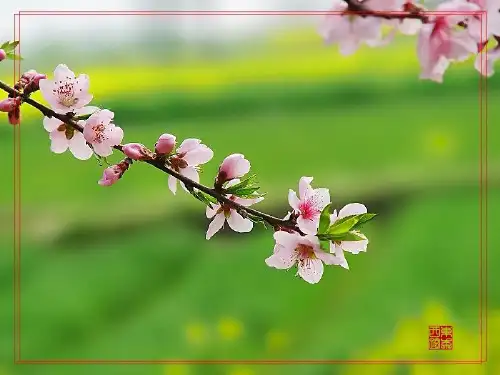 医院感染重点部门管理