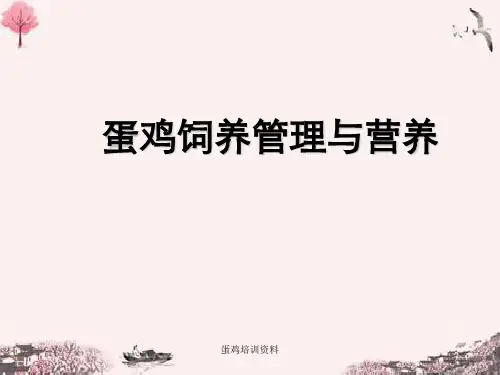蛋鸡培训资料