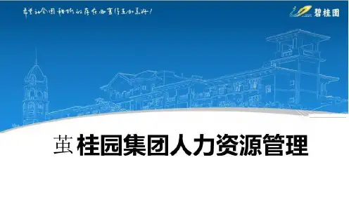碧桂园地产集团  人力资源  面试  人力资源系统人力资源管理