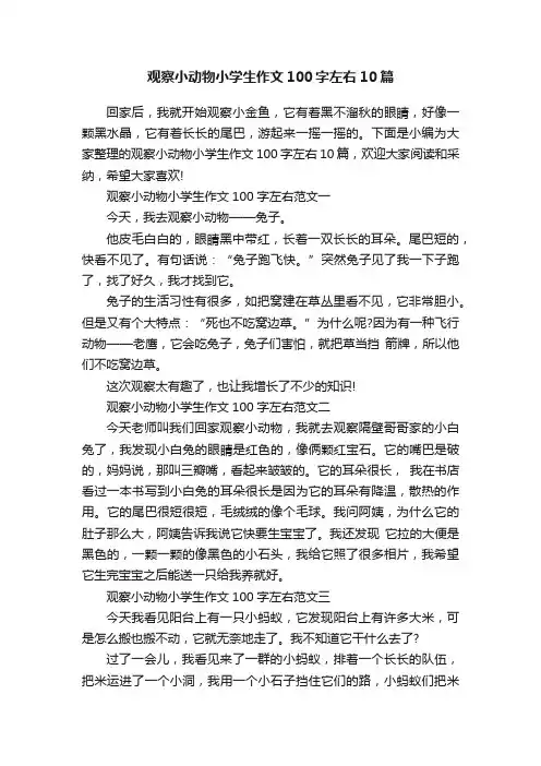 观察小动物小学生作文100字左右10篇