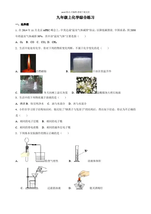 人教版九年级化学上册化学综合练习