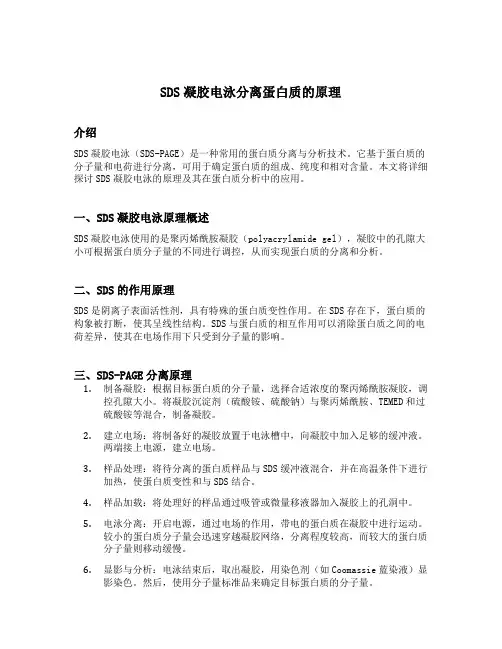 sds凝胶电泳分离蛋白质的原理