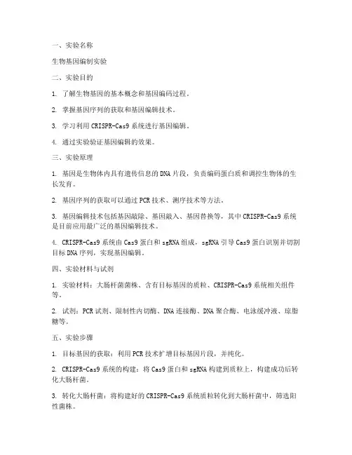 生物基因编制实验报告