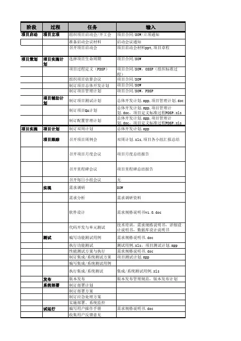 项目定义标准过程PDSP