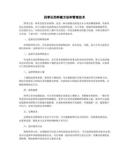 四季豆的种植方法和管理技术