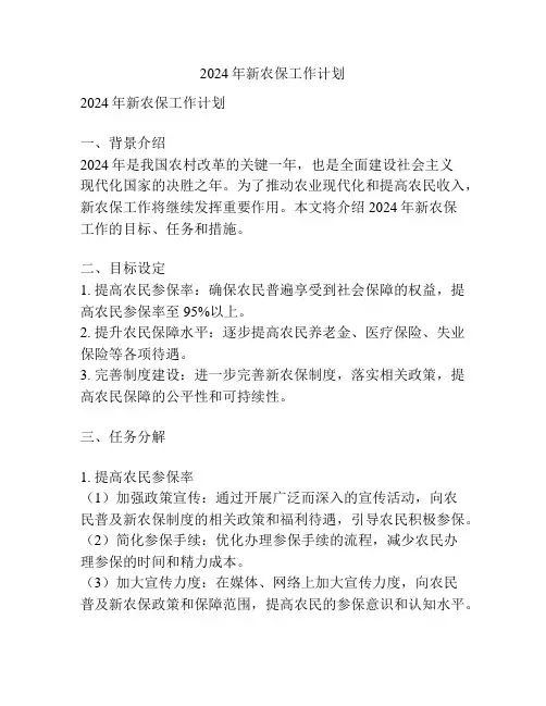 2024年新农保工作计划