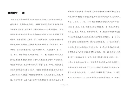 植物器官——根  