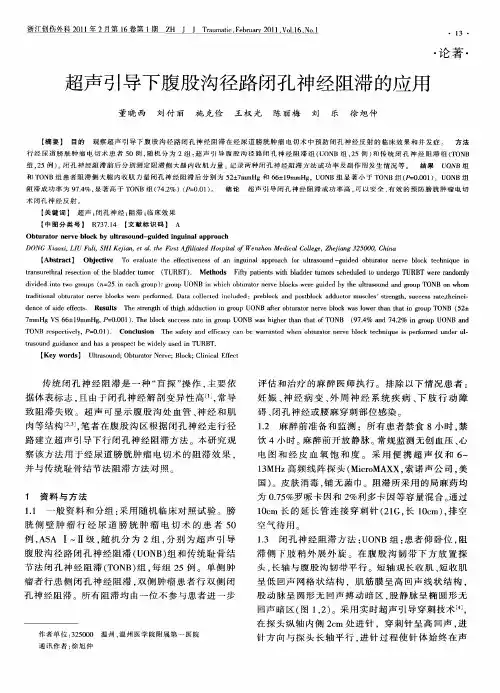 超声引导下腹股沟径路闭孔神经阻滞的应用