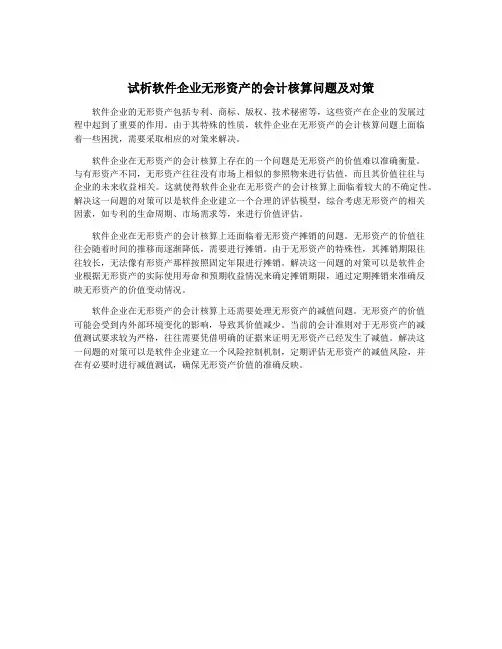 试析软件企业无形资产的会计核算问题及对策