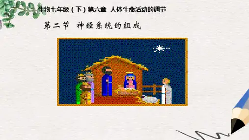 七年级生物下册第四单元第六章第二节神经系统的组成课件1新版新人教版