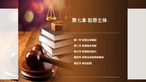 刑法 第八版 第七章 犯罪主体