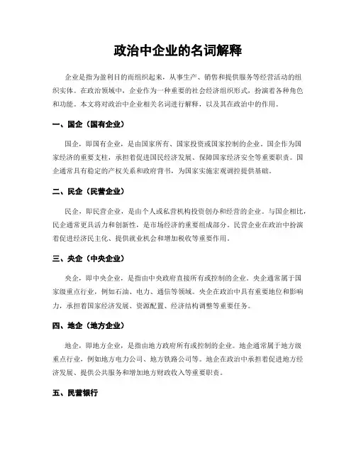 政治中企业的名词解释