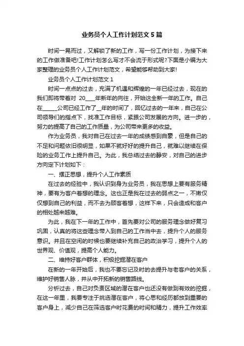 业务员个人工作计划范文5篇