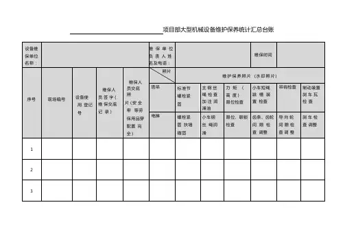 大型机械设备维护保养统计汇总台账(塔吊 施工电梯)