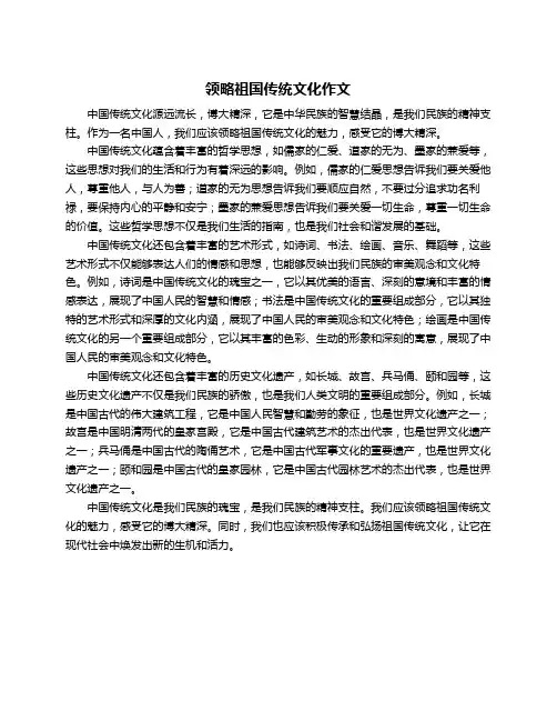 领略祖国传统文化作文