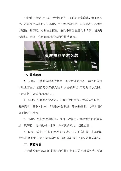 夏威夷椰子怎么养