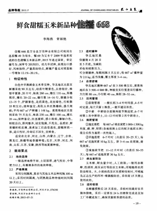 鲜食甜糯玉米新品种佳糯66