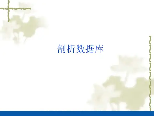 高中信息技术粤教版必修1 5.3 剖析数据库(共24张PPT)