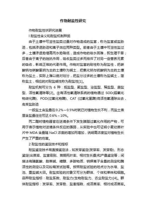 作物耐盐性研究