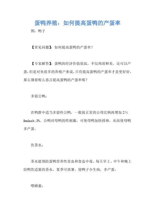 蛋鸭养殖：如何提高蛋鸭的产蛋率