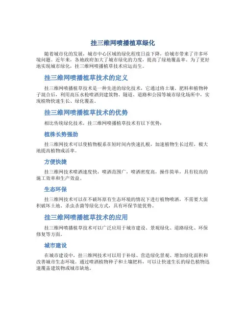 挂三维网喷播植草绿化