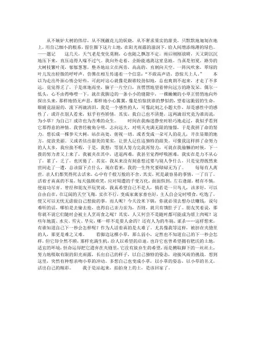 夹缝里的生命