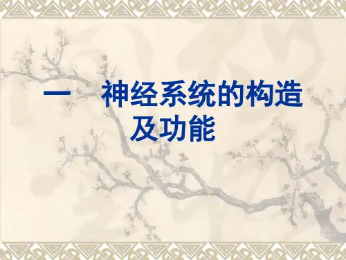 最新心理咨询师基础知识2PPT课件