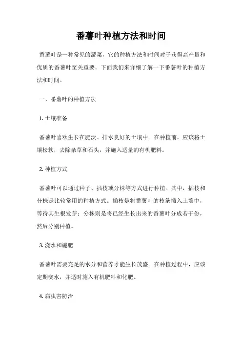 番薯叶种植方法和时间