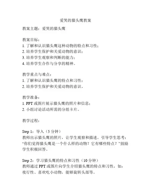 爱哭的猫头鹰教案