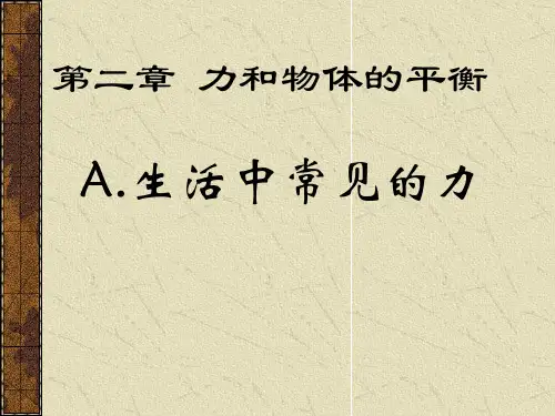 生活中常见的力