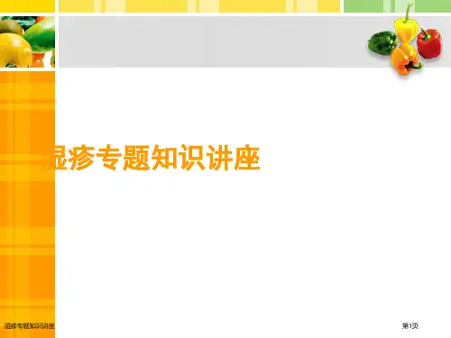 湿疹专题知识讲座