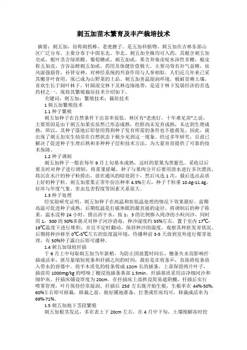 刺五加苗木繁育及丰产栽培技术