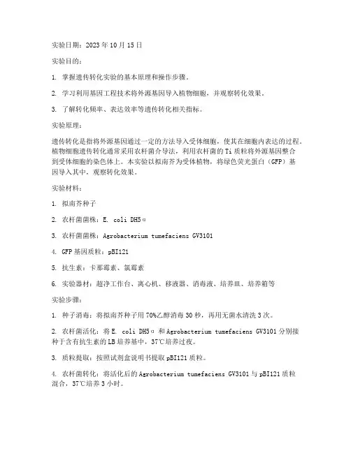 做遗传转化实验报告