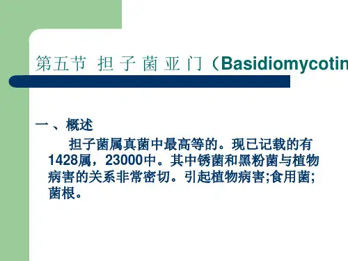 普通植物病理学-第五节担子菌亚门(上)