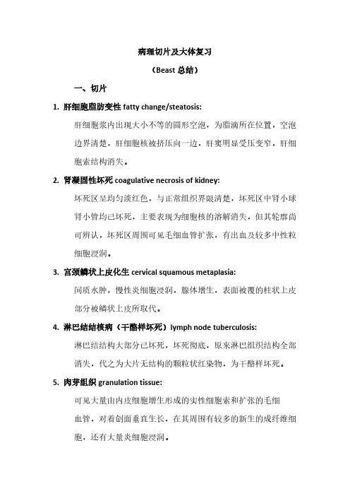 病理切片及大致复习