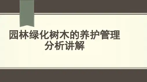 园林绿化树木的养护管理讲解