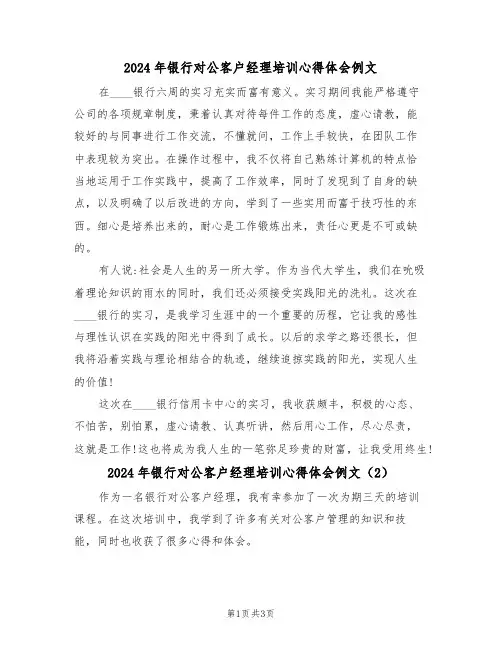 2024年银行对公客户经理培训心得体会例文(2篇)