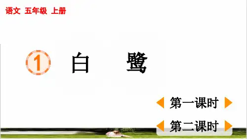 部编版五年级语文上册第一单元第1课《白鹭》教学课件