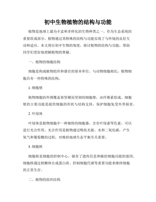 初中生物植物的结构与功能