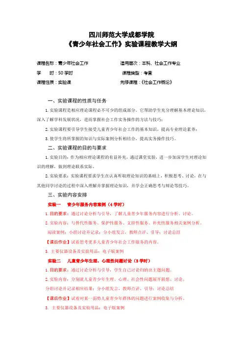 11《青少年社会工作》实验教学大纲(学时)