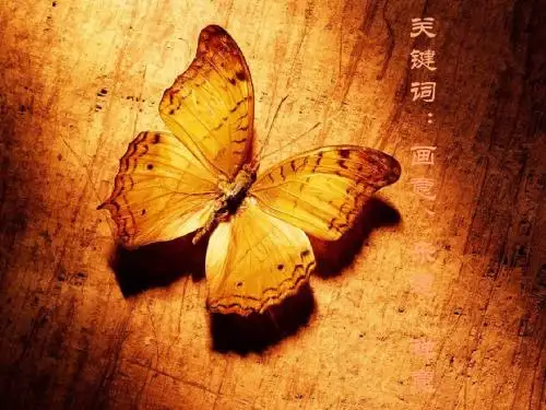 王维ppt实用课件