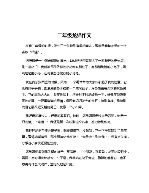 二年级龙猫作文