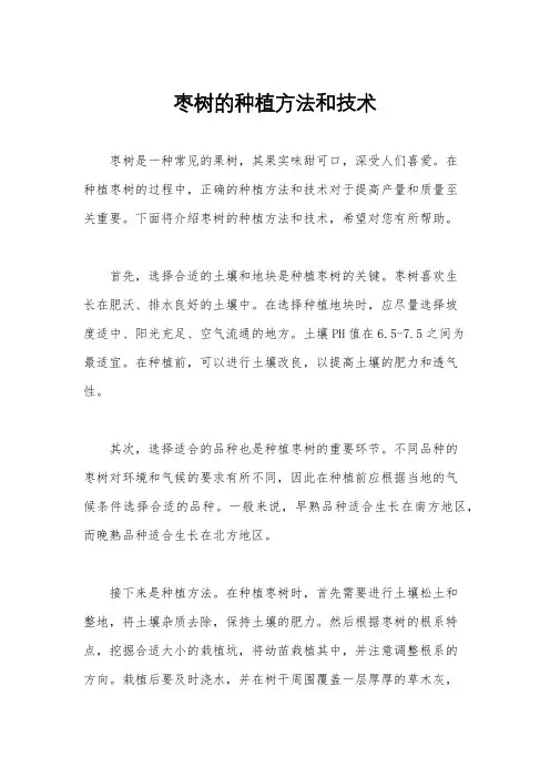 枣树的种植方法和技术