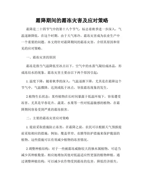 霜降期间的霜冻灾害及应对策略