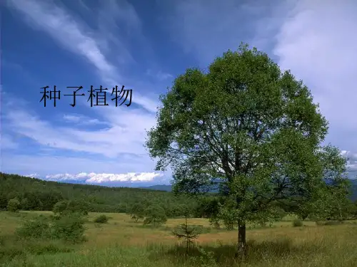 初一生物种子植物课件
