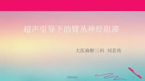 超声引导下的臂丛神经阻滞ppt课件