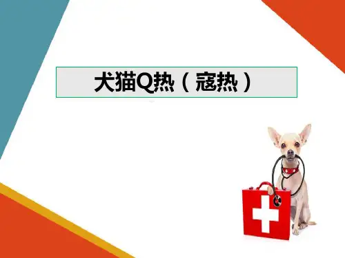宠物传染病防治—犬猫Q热的诊断与防治