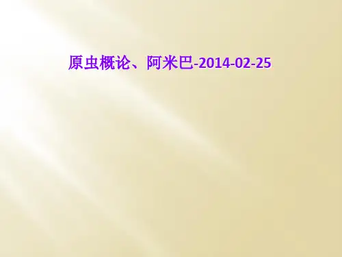 原虫概论、阿米巴-2014-02-25